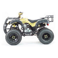 Квадроцикл Motoland 250 Adventure