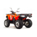 Квадроцикл Motoland 200 Max