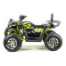 Квадроцикл Motoland 200 Wild Track Pro